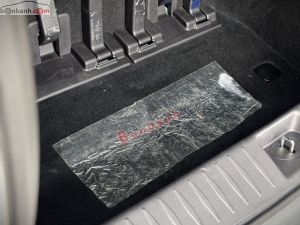 Xe Kia Carnival Signature 2.2D 2023