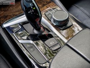 Xe BMW 5 Series 530i Luxury Line 2018